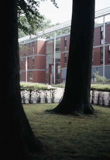  “Als je vier uur achter elkaar hetzelfde doet, is op een gegeven moment de chemie op.”